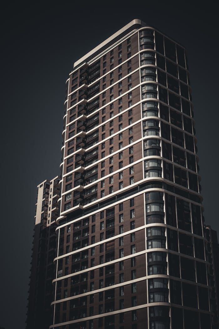 awards-img Pexels Photo 34533543